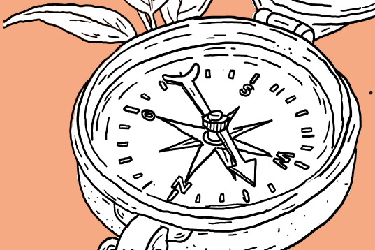 Kompass Nährstoffmanagement