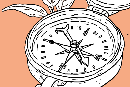 Kompass Nährstoffmanagement