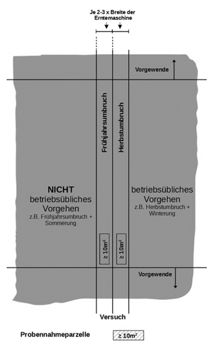 Versuchsskizze