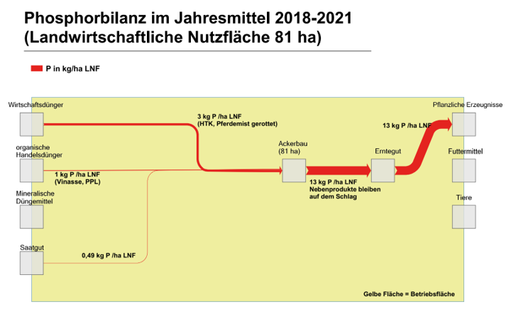 Grafik Phosphorbilanz