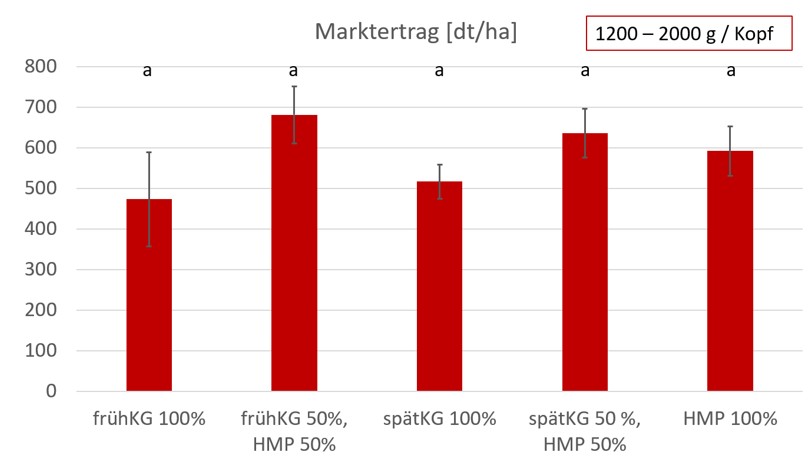 Säulendiagramm mit Boxplots.