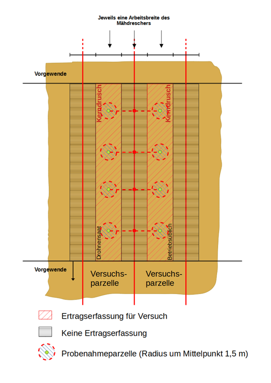 Schematische Darstellung.