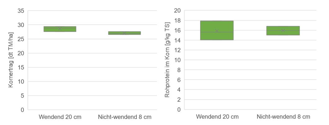 Diagramm Sonnenblumenkornertrag