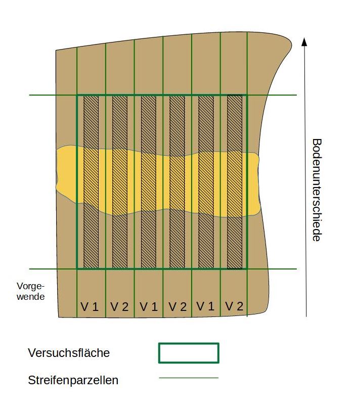 Versuchsskizze