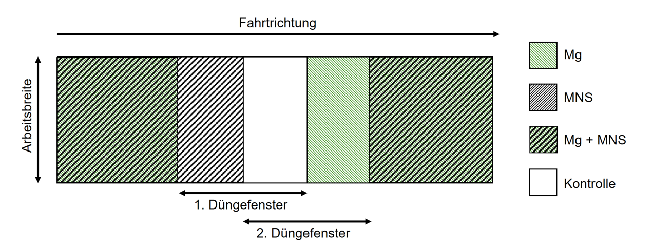 Versuchsskizze