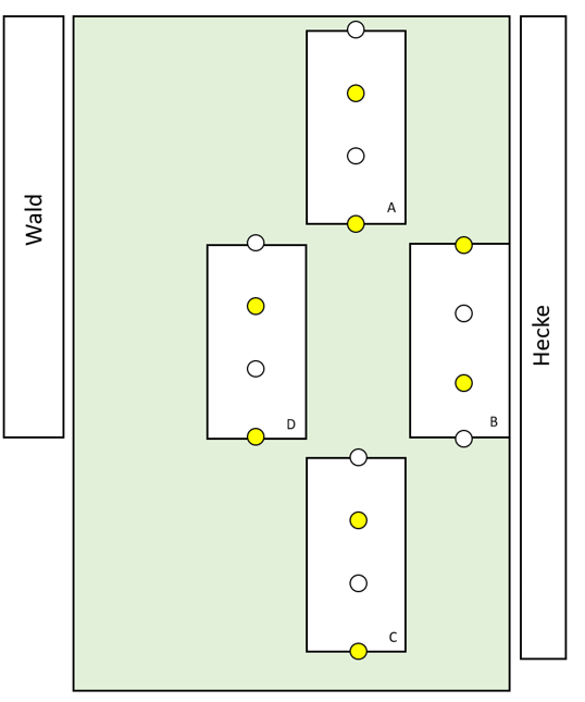 Schematische Darstellung der Versuchsfläche