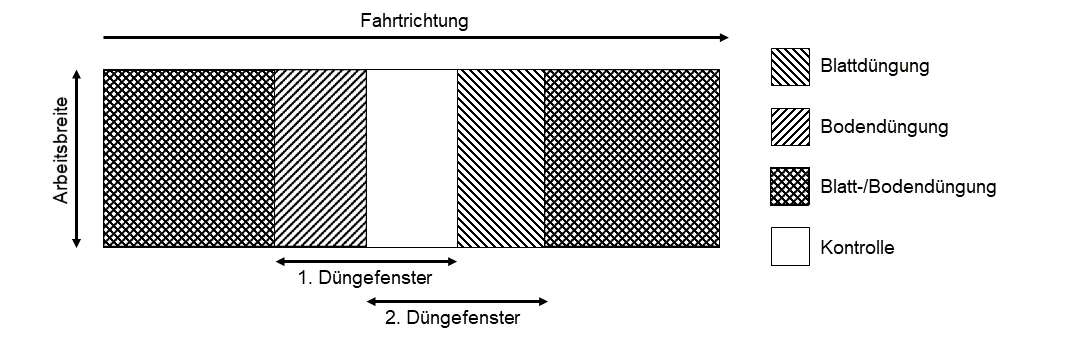 Schematische Darstellung