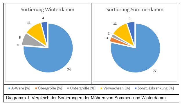 Tortendiagramm