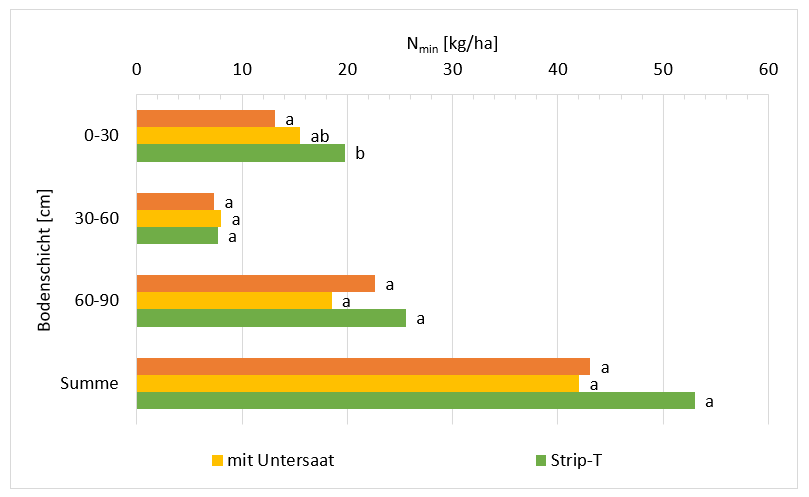 Diagramm Bodenvorrat