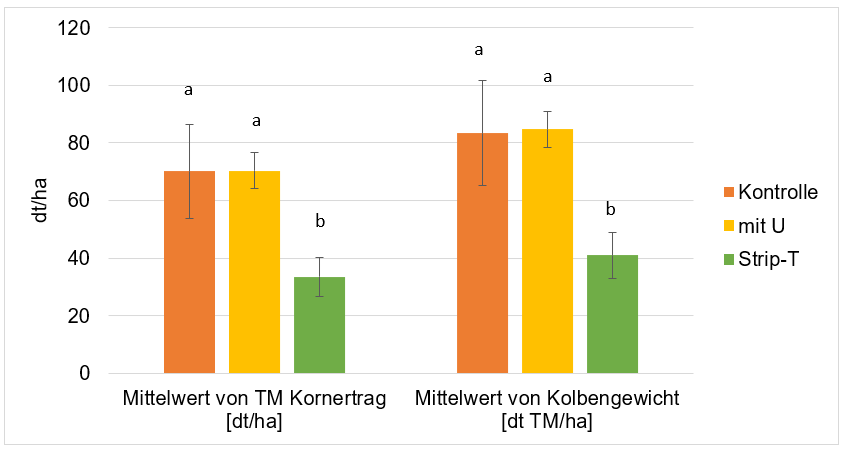 Grafik Korn- und Kolbenertrag