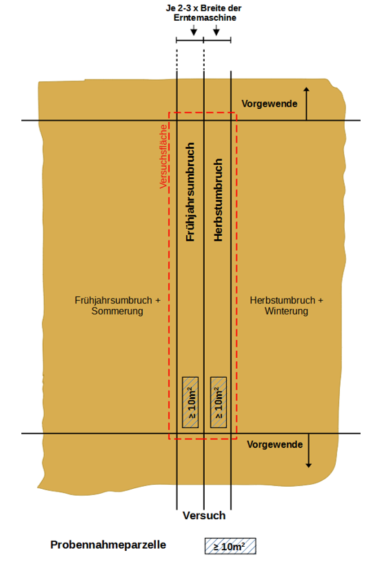 Versuchsskizze