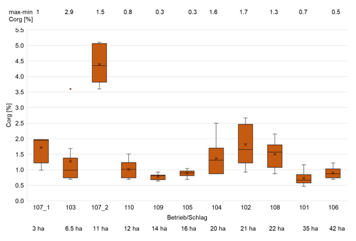 Boxplot Diagramm.