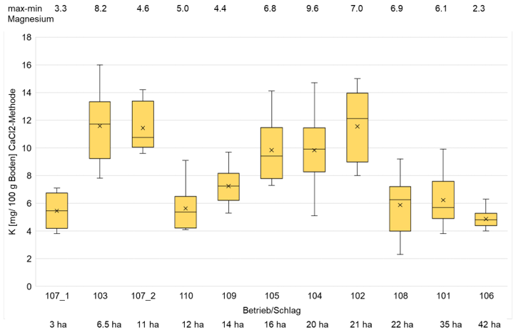 Boxplot Diagramm.