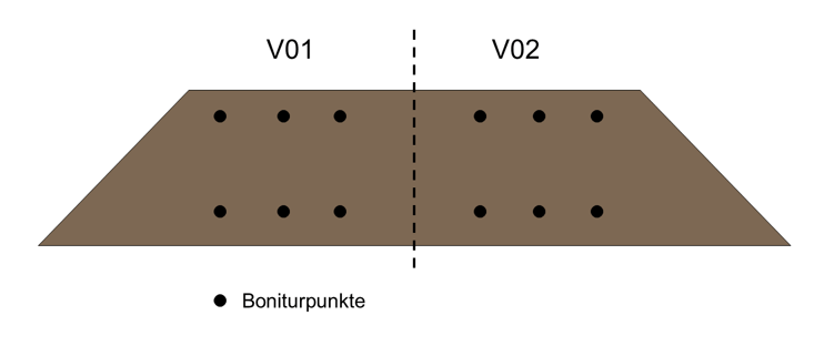 Versuchsskizze