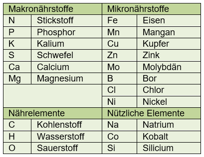 Tabelle